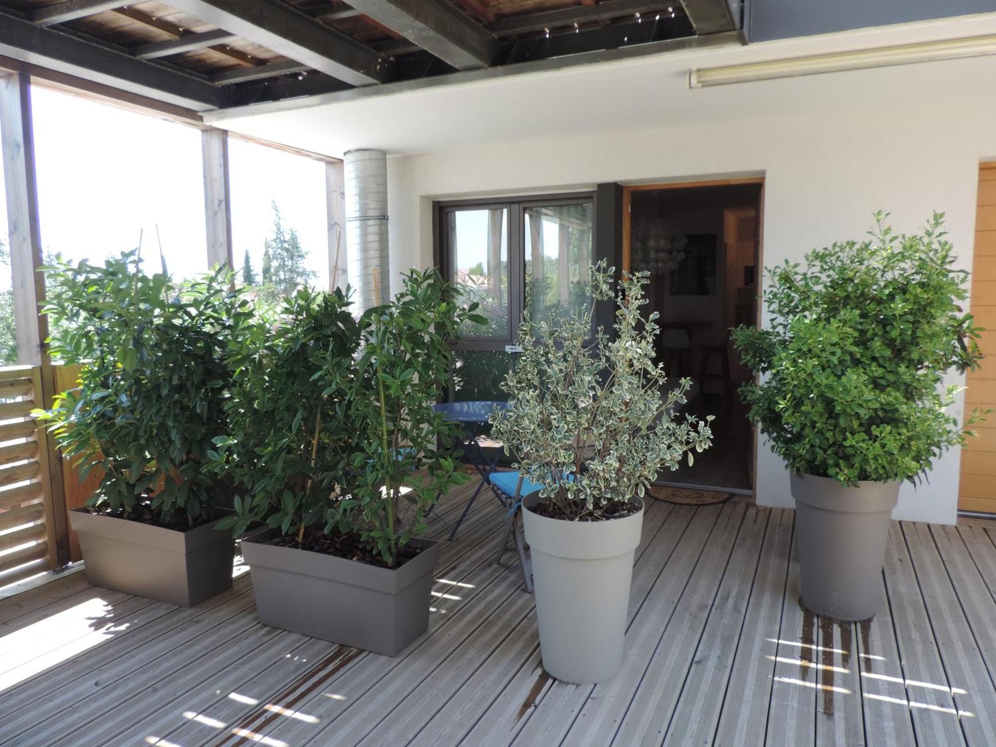 Studios Nuitee En Provence Aix-en-Provence Dış mekan fotoğraf